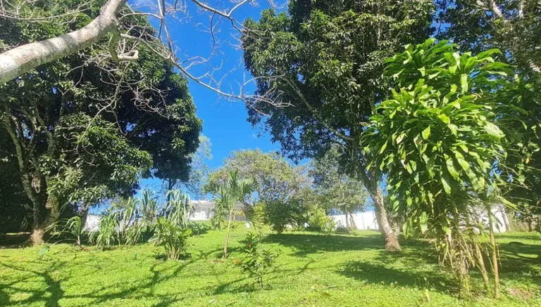House in Nuevo Tronadora