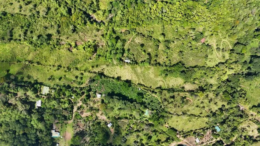 FINCA DE 3.2HA EN LAS FALDAS DEL CHIRRIPÓ, EN PZ. - Venta en Perez Zeledón, photo 6