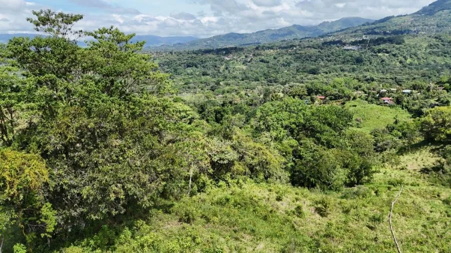 FINCA DE 3.2HA EN LAS FALDAS DEL CHIRRIPÓ, EN PZ. - Venta en Perez Zeledón, photo 7