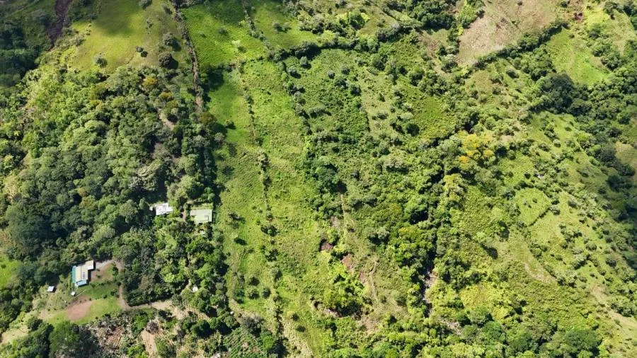 FINCA DE 3.2HA EN LAS FALDAS DEL CHIRRIPÓ, EN PZ. - Venta en Perez Zeledón, photo 8