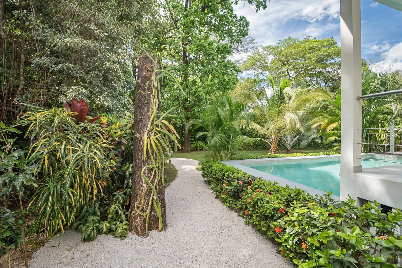 Casa del Río - Tropical Riverside 3BR 2BA, photo 5