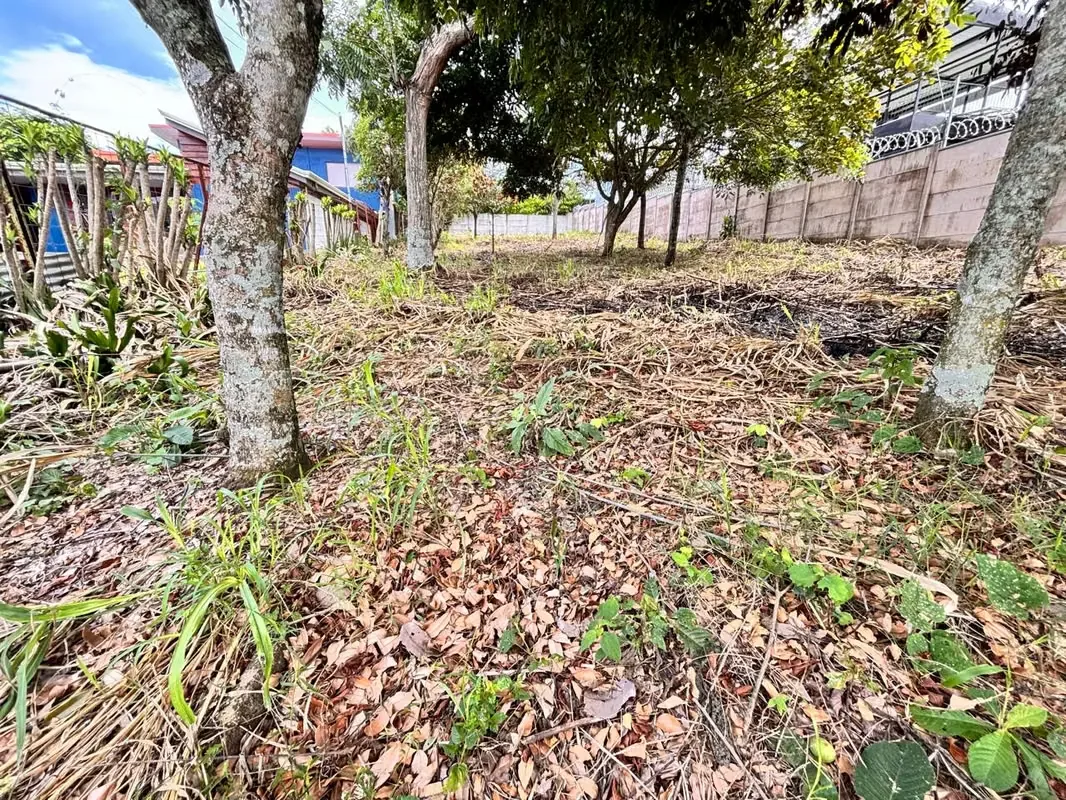 Tu casa soñada, amplias zonas verdes, una terraza para disfrutar en familia… y una hermosa vista al Valle Central como parte de tu día a día., photo 10