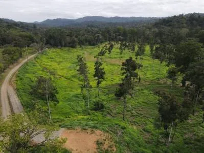 Construya su Finca de Ensueño en 29 Acres con Río – Naturaleza y Comodidad a su Alcance, photo 2