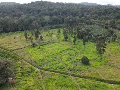 Construya su Finca de Ensueño en 29 Acres con Río – Naturaleza y Comodidad a su Alcance, photo 3