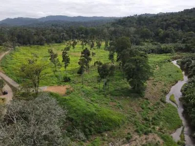 Construya su Finca de Ensueño en 29 Acres con Río – Naturaleza y Comodidad a su Alcance, photo 4
