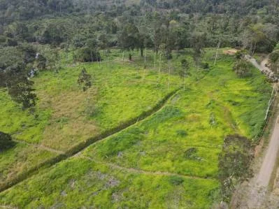 Construya su Finca de Ensueño en 29 Acres con Río – Naturaleza y Comodidad a su Alcance, photo 5