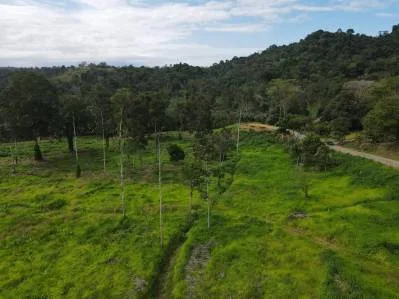 Construya su Finca de Ensueño en 29 Acres con Río – Naturaleza y Comodidad a su Alcance, photo 7