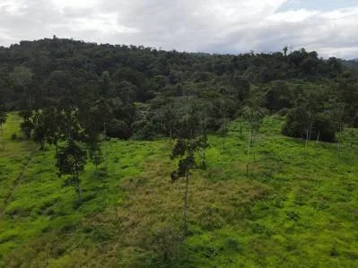 Construya su Finca de Ensueño en 29 Acres con Río – Naturaleza y Comodidad a su Alcance, photo 8