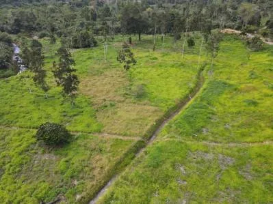 Construya su Finca de Ensueño en 29 Acres con Río – Naturaleza y Comodidad a su Alcance, photo 9