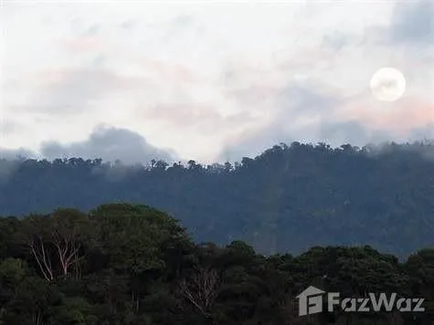 Land for Sale in Perez Zeledon, San Jose for $189,000, photo 2