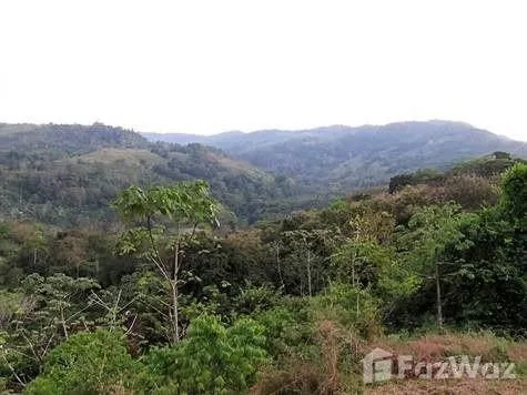 Land for Sale in Perez Zeledon, San Jose for $189,000, photo 3