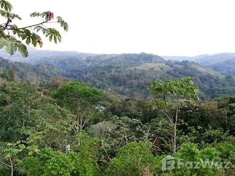 Land for Sale in Perez Zeledon, San Jose for $189,000, photo 4