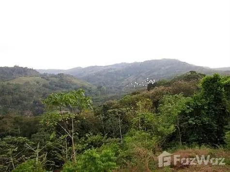 Land for Sale in Perez Zeledon, San Jose for $189,000, photo 5