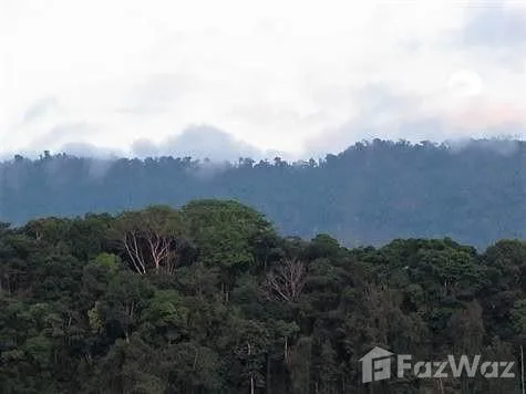 Land for Sale in Perez Zeledon, San Jose for $189,000, photo 6