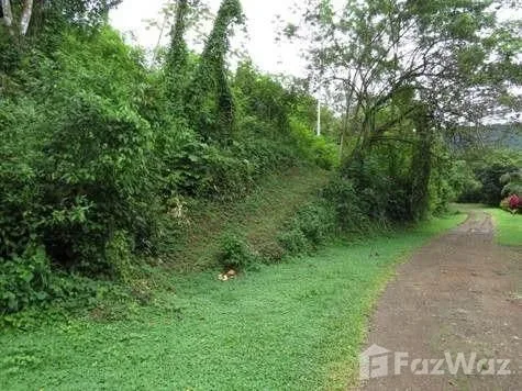 Land for Sale in Perez Zeledon, San Jose for $189,000, photo 7