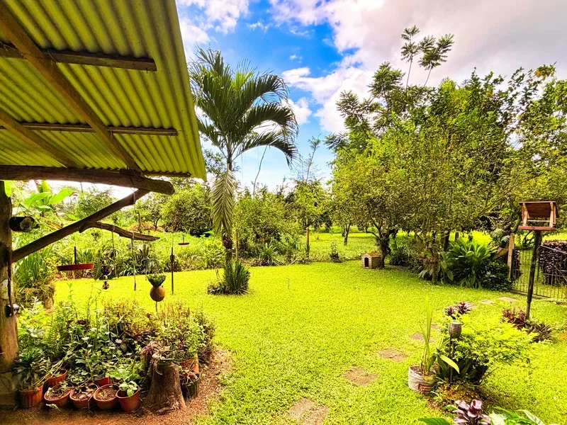 5 Bed Single Family Homes For Sale in Guapiles, photo 13