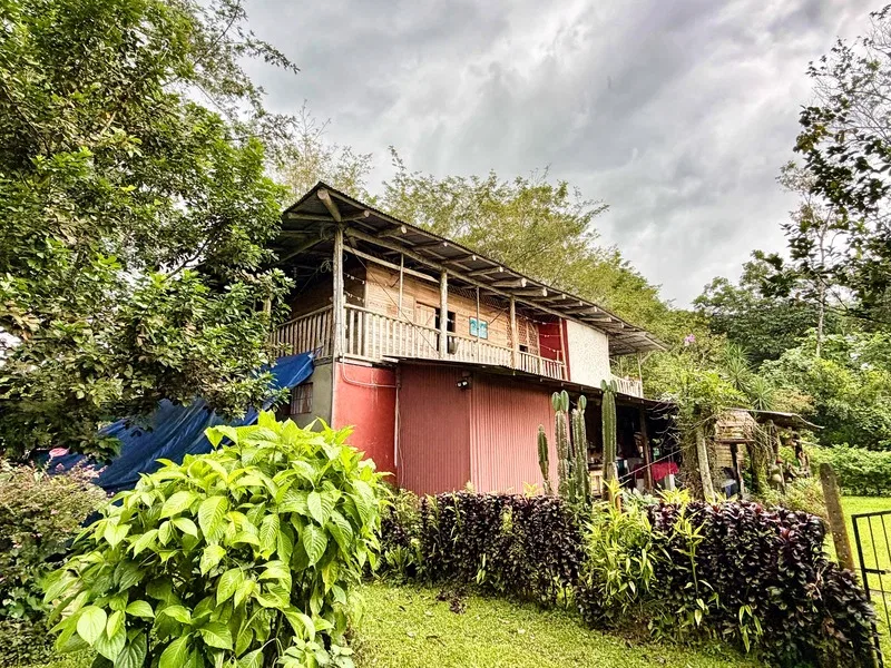 5 Bed Single Family Homes For Sale in Guapiles, photo 20