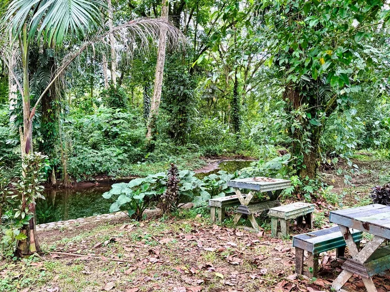 5 Bed Single Family Homes For Sale in Guapiles, photo 24