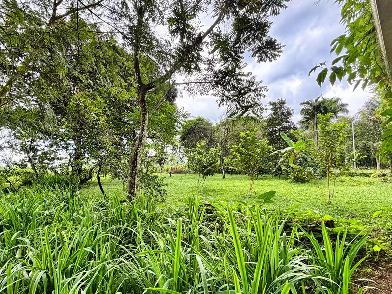 5 Bed Single Family Homes For Sale in Guapiles, photo 25