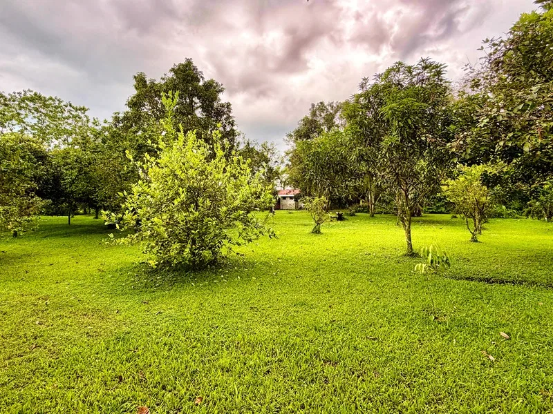 5 Bed Single Family Homes For Sale in Guapiles, photo 26
