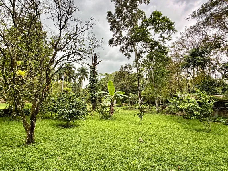 5 Bed Single Family Homes For Sale in Guapiles, photo 27