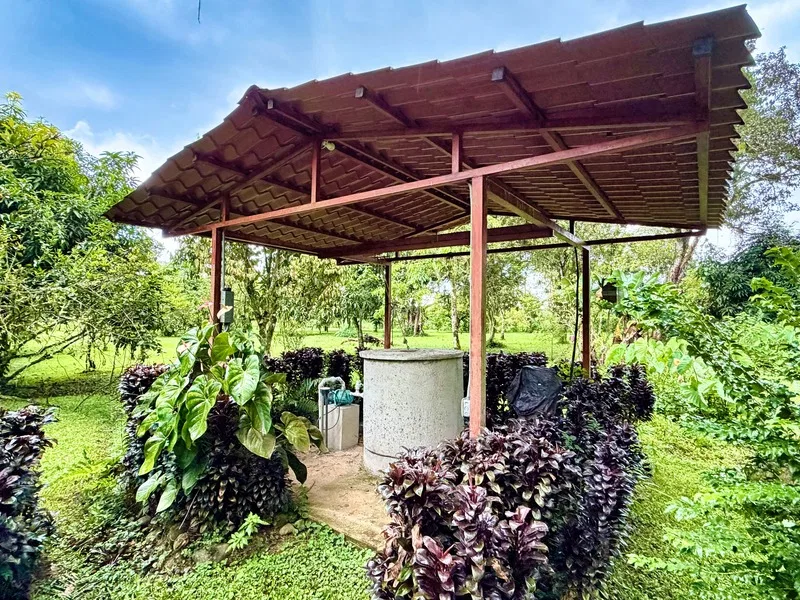 5 Bed Single Family Homes For Sale in Guapiles, photo 28