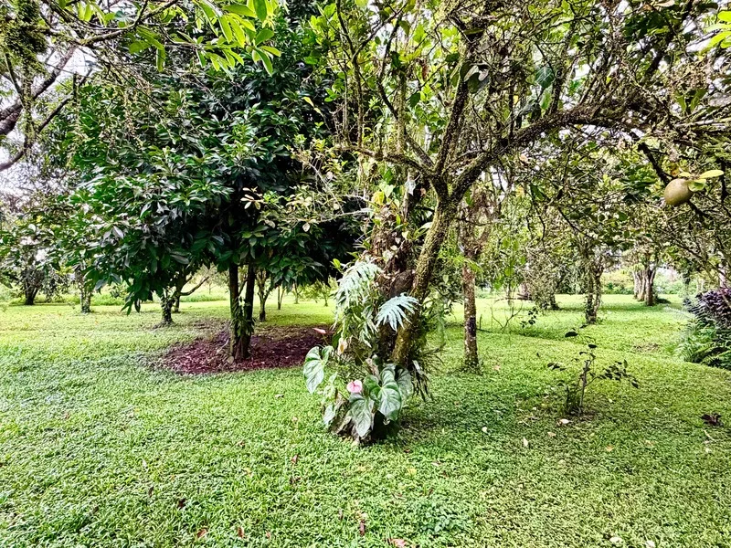 5 Bed Single Family Homes For Sale in Guapiles, photo 29