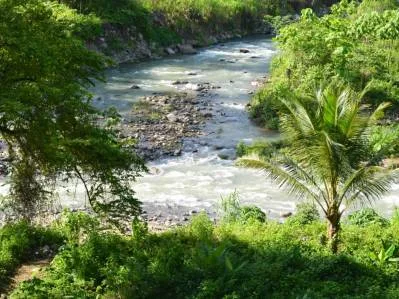 Uvita, Centro de Retiro en la Jungla sobre el Río Uvita. Privado y con 17 acres, photo 3