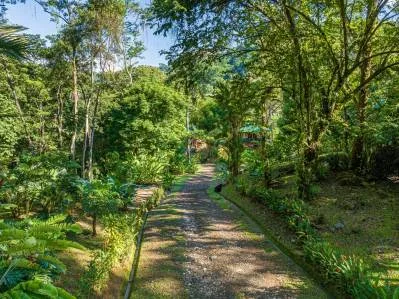 Uvita, Centro de Retiro en la Jungla sobre el Río Uvita. Privado y con 17 acres, photo 10