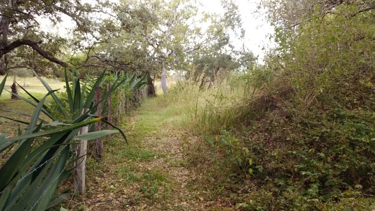 Mountain Farm for Sale in Liberia – Nature, Privacy, and High Investment Potential, photo 2