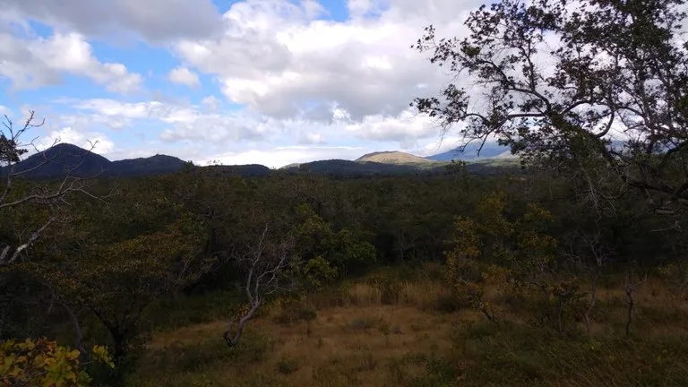 Mountain Farm for Sale in Liberia – Nature, Privacy, and High Investment Potential, photo 3