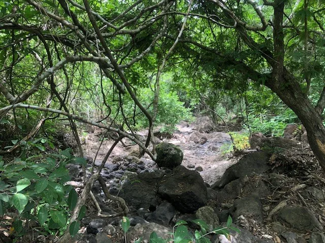 Mountain Farm for Sale in Liberia – Nature, Privacy, and High Investment Potential, photo 6
