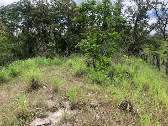 Mountain Farm for Sale in Liberia – Nature, Privacy, and High Investment Potential, photo 8