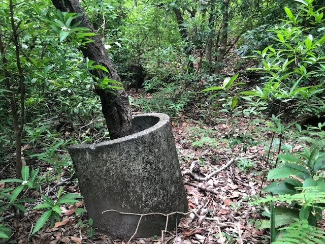 Mountain Farm for Sale in Liberia – Nature, Privacy, and High Investment Potential, photo 9