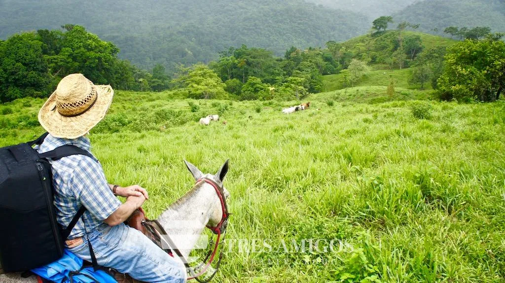 Los Gauchos Ranch, photo 2