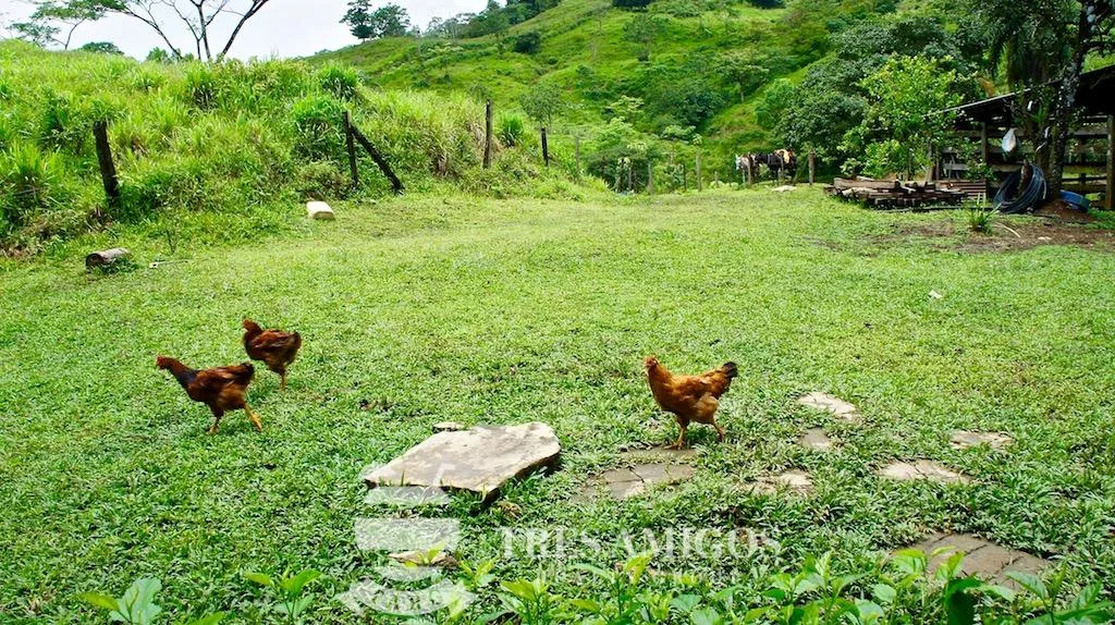 Los Gauchos Ranch, photo 11