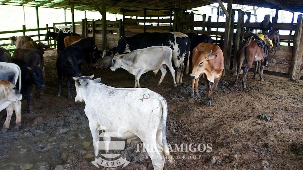 Los Gauchos Ranch, photo 12