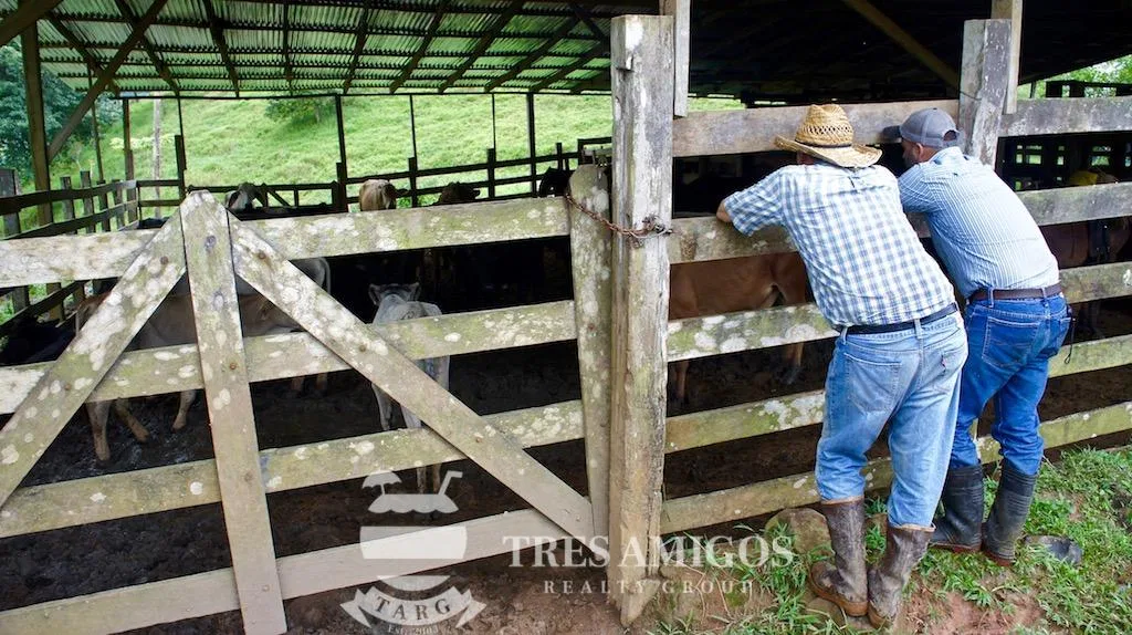 Los Gauchos Ranch, photo 13