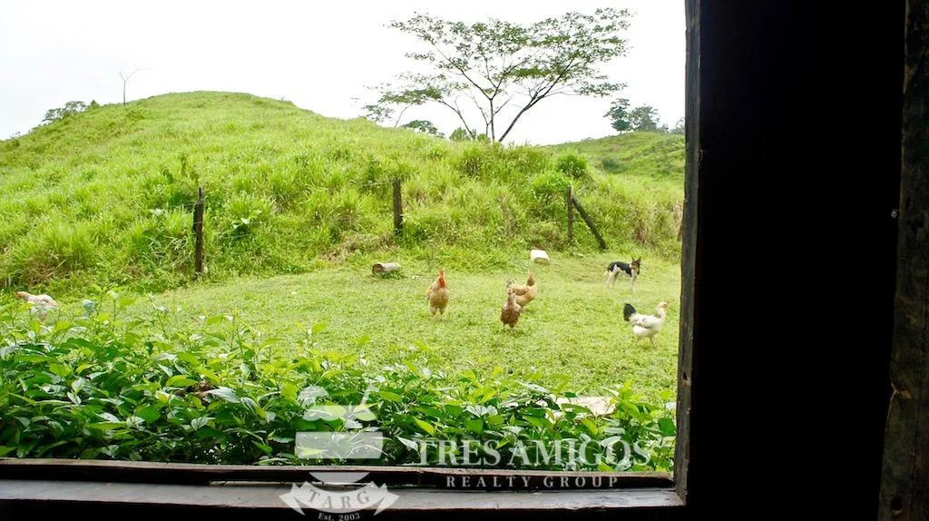 Los Gauchos Ranch, photo 19