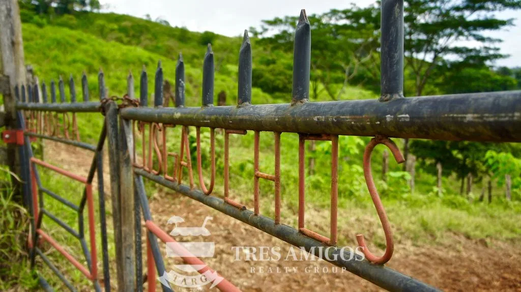 Los Gauchos Ranch, photo 21