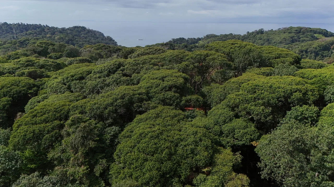 BUILDING PROPERTY WITH OCEAN VIEWS, IN CINCO VENTANAS – 7 ACRES, photo 13