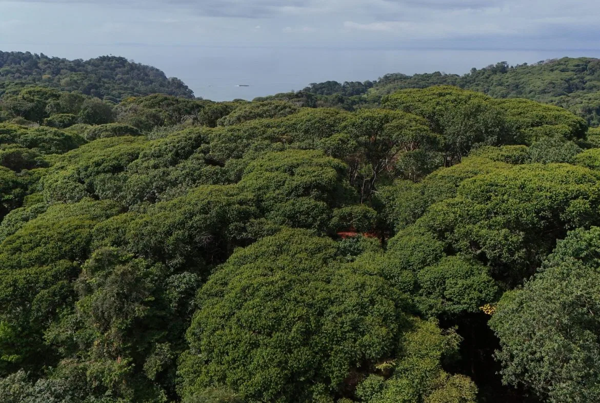 BUILDING PROPERTY WITH OCEAN VIEWS, IN CINCO VENTANAS – 7 ACRES, photo 14