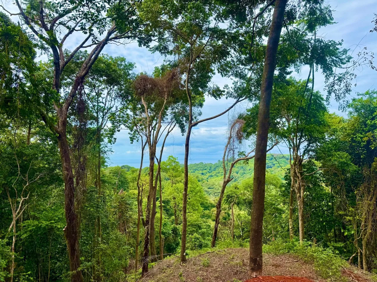 BUILDING PROPERTY WITH OCEAN VIEWS, IN CINCO VENTANAS – 7 ACRES, photo 3