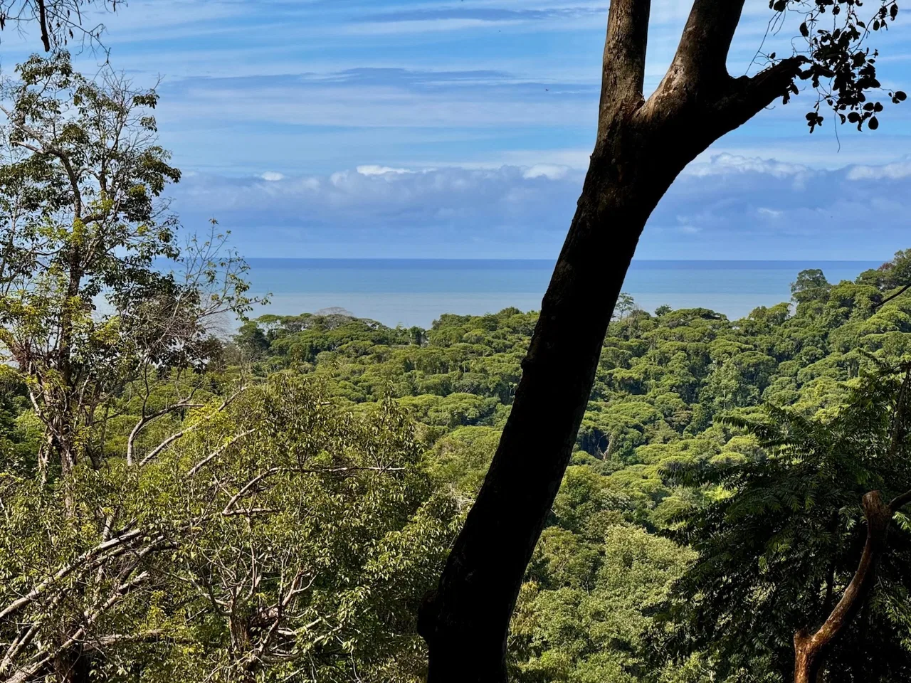 BUILDING PROPERTY WITH OCEAN VIEWS, IN CINCO VENTANAS – 7 ACRES, photo 5