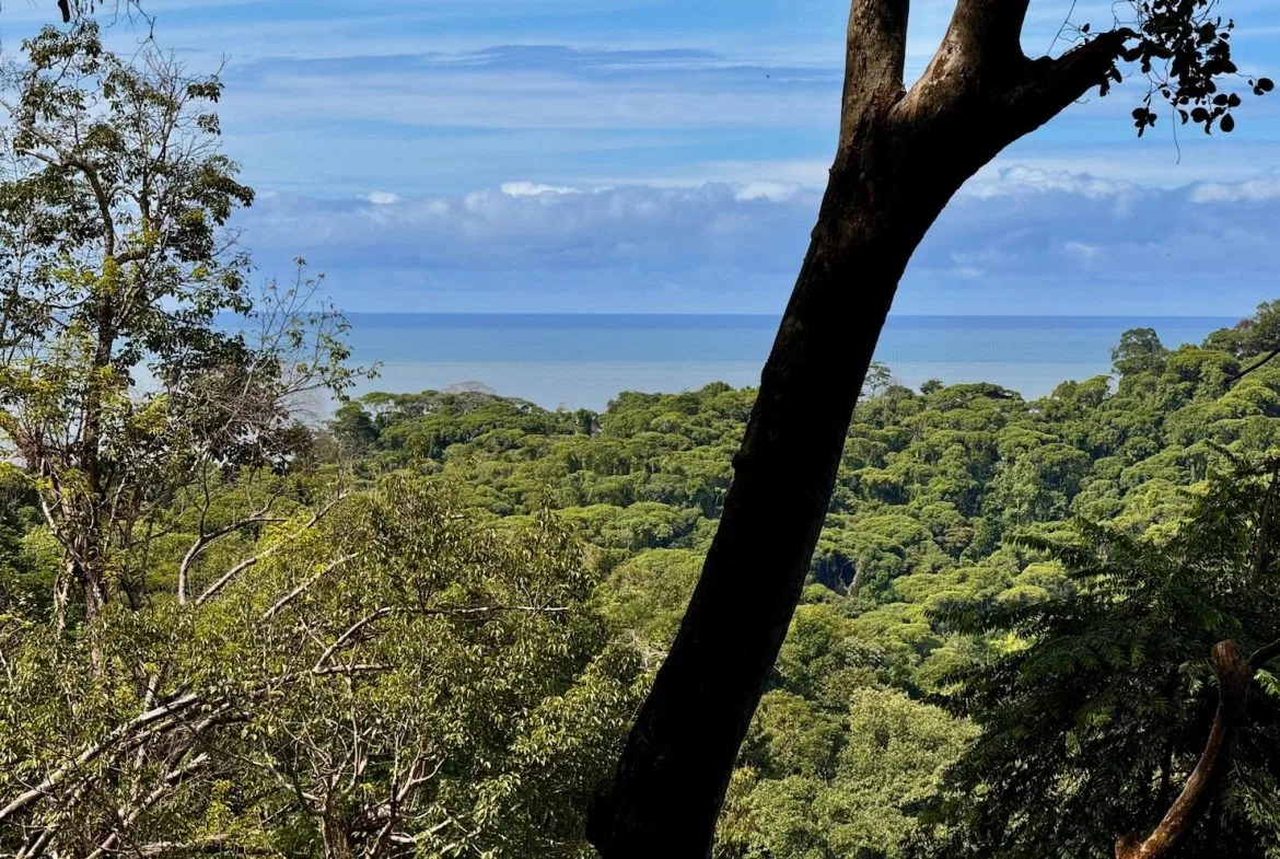 BUILDING PROPERTY WITH OCEAN VIEWS, IN CINCO VENTANAS – 7 ACRES, photo 6