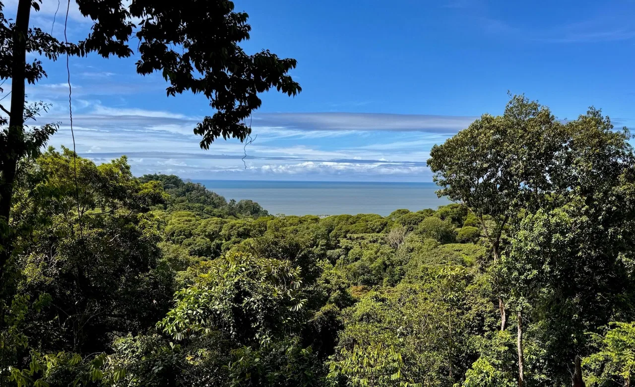BUILDING PROPERTY WITH OCEAN VIEWS, IN CINCO VENTANAS – 7 ACRES, photo 9