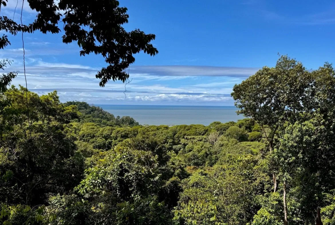 BUILDING PROPERTY WITH OCEAN VIEWS, IN CINCO VENTANAS – 7 ACRES, photo 10