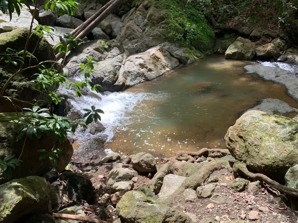 Waterfall Farm with River and Forest – 38 Hectares near Carmona, Nicoya Peninsula, photo 4