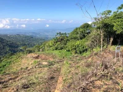 Alto de San Juan, VISTAS SUPERIORES DEL MUNDO, Brisas Frescas, ¡Listo para Construir Tu Sueño!, photo 2