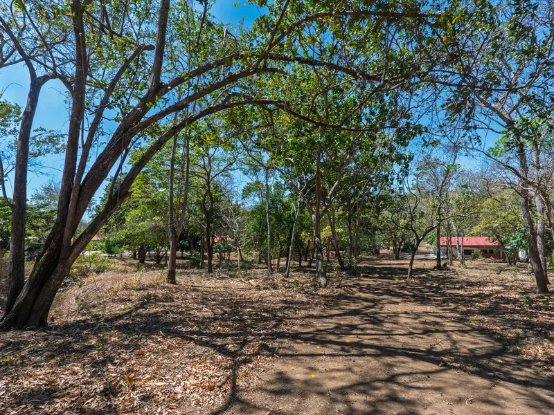 Land For Sale in Playa Flamingo, photo 9